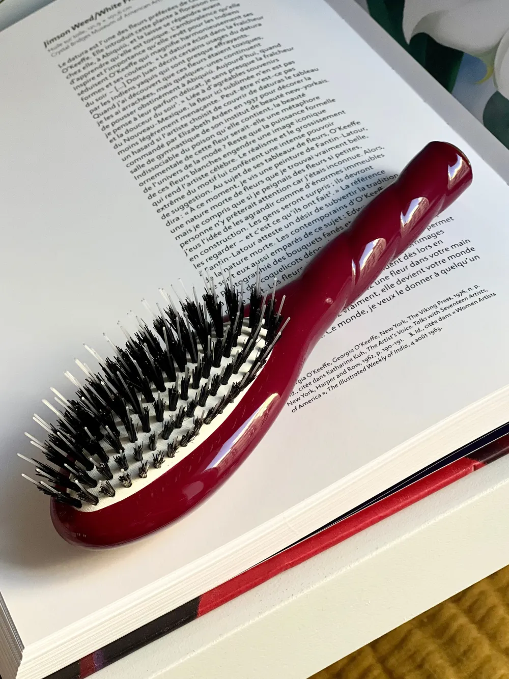 La Bonne Brosse Our Hair Brushes | Our Small Brushes*N.02 The Small Care & Detangling Hair Brush THE ESSENTIAL Cherry Red