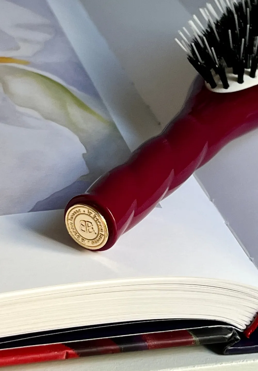 La Bonne Brosse Our Hair Brushes | Our Small Brushes*N.02 The Small Care & Detangling Hair Brush THE ESSENTIAL Cherry Red