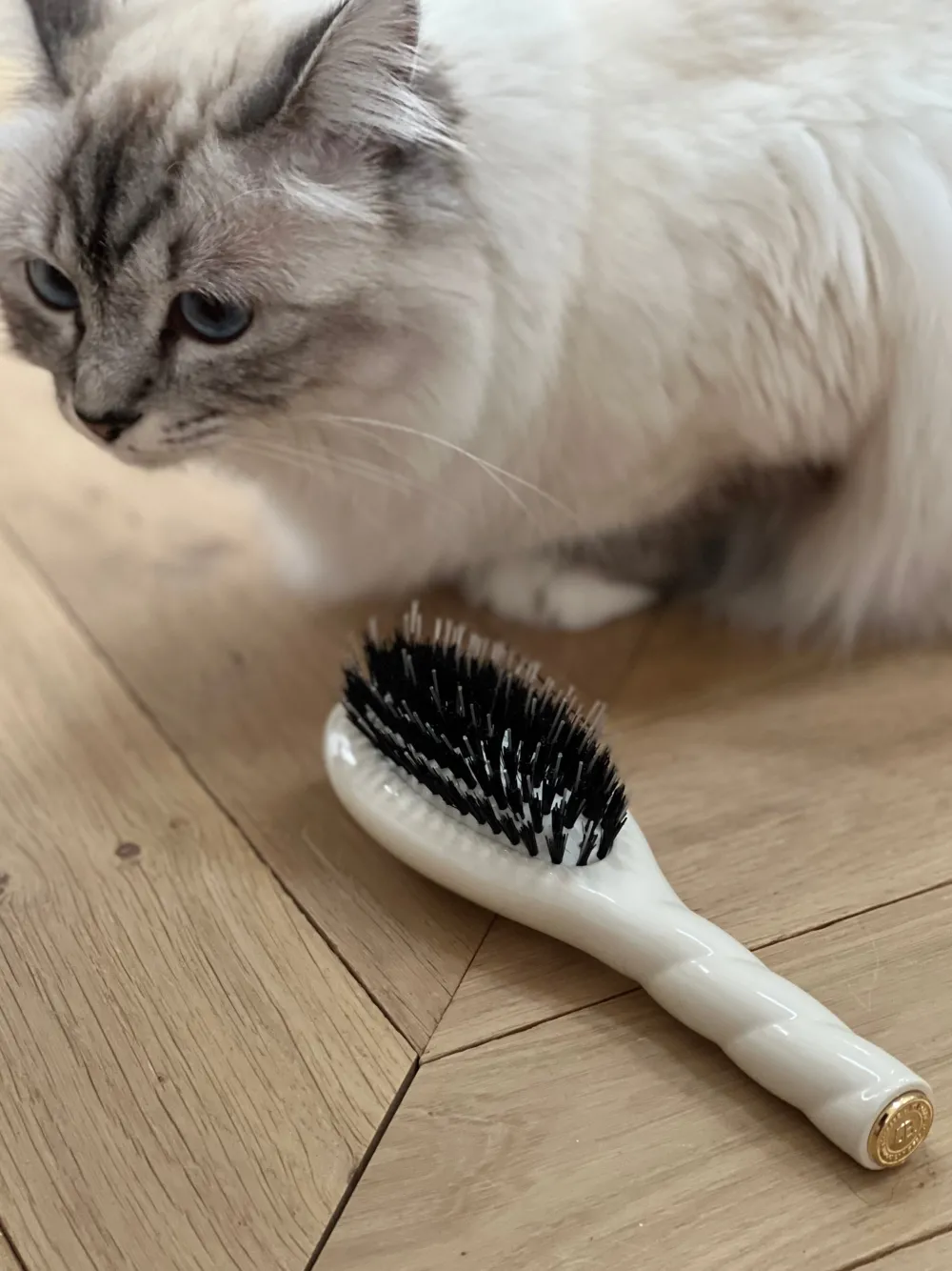 La Bonne Brosse Our Hair Brushes | Our Small Brushes*N.02 The Small Care & Detangling Hair Brush THE ESSENTIAL Creamy White