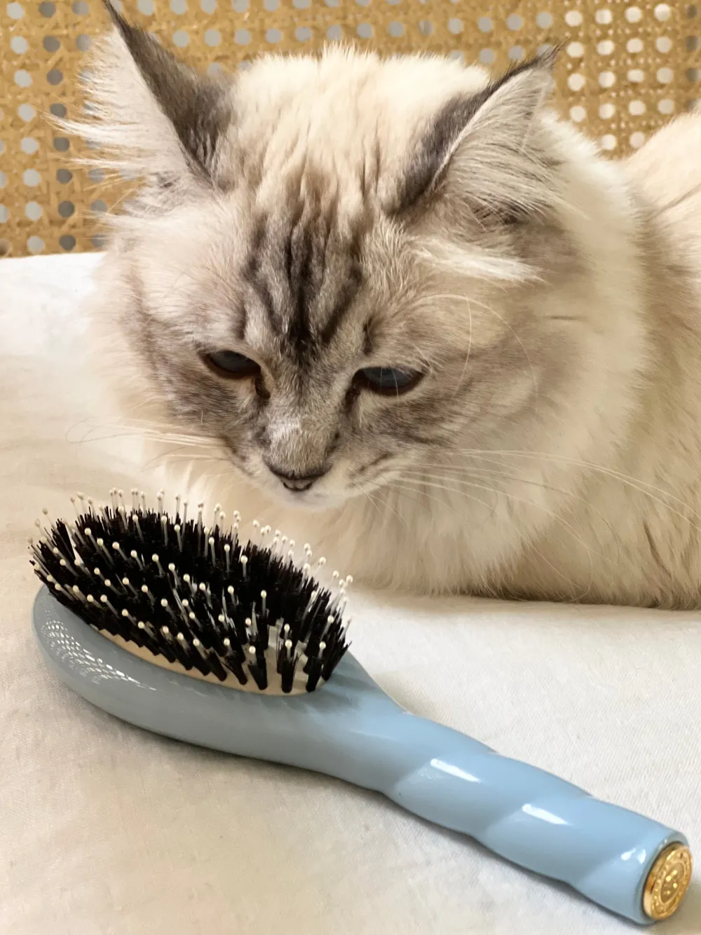 La Bonne Brosse Our Hair Brushes | Our Small Brushes*N.03 The Small Gentle Scalp Care Hair Brush THE ESSENTIAL SOFTNESS Light Blue